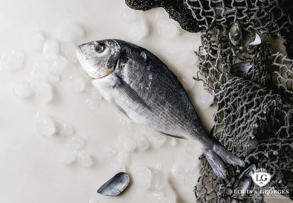 DORADE ROYALE 5/1000