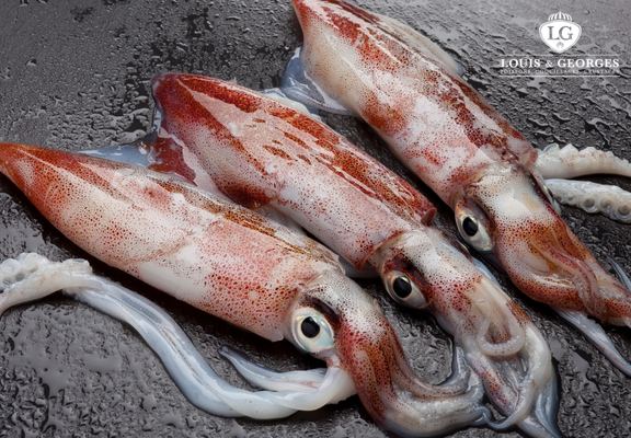 ENCORNET  1/200 PT.BATEAU