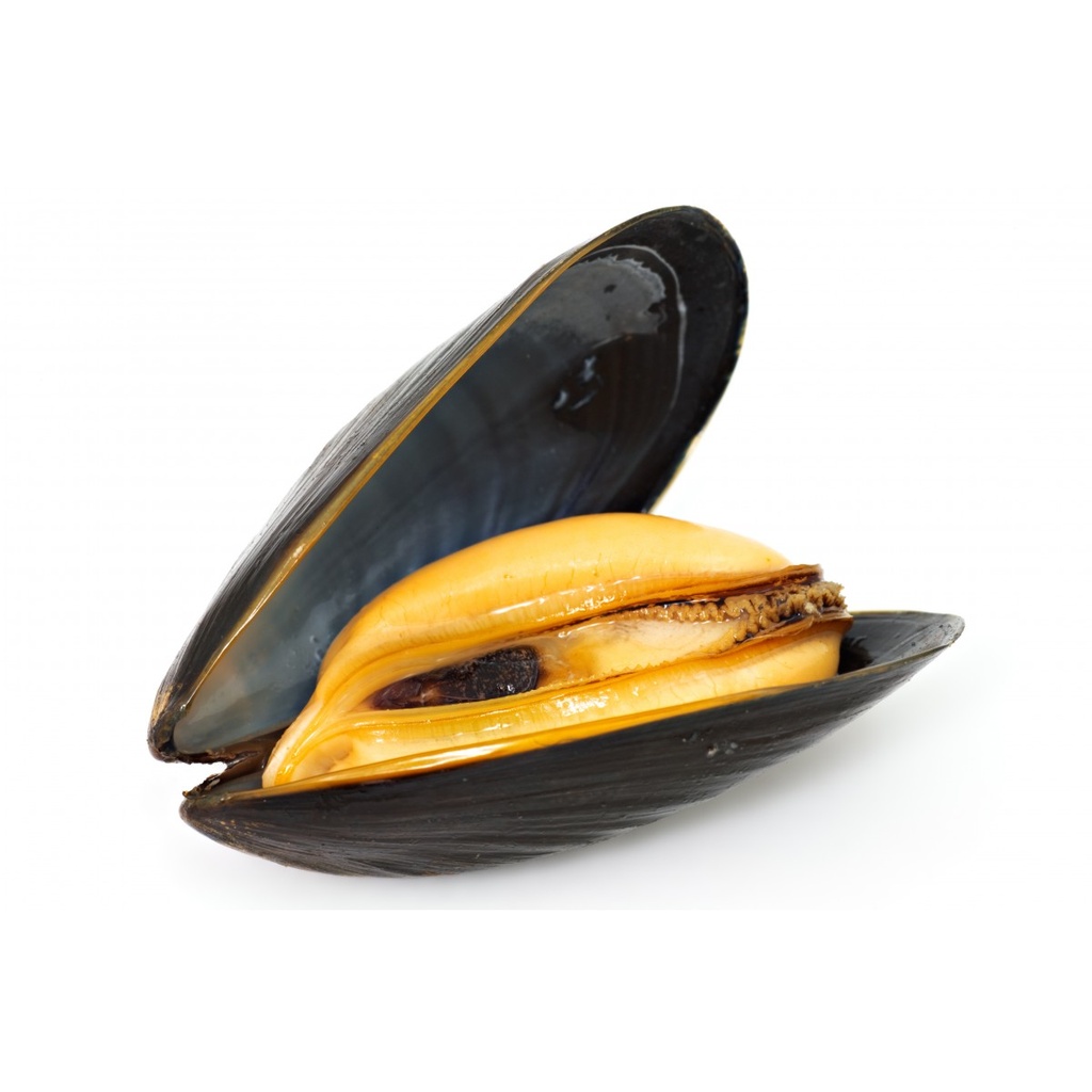 Moules de Bréhat PAC