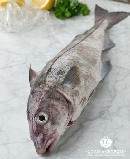 [FILET EGLEFIN GROS] FILET D'EGLEFIN  GROS  MAIN