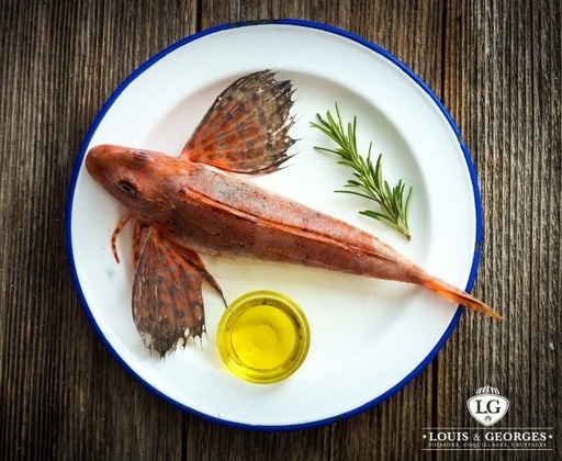 [GROND T2] GRONDIN 4/600