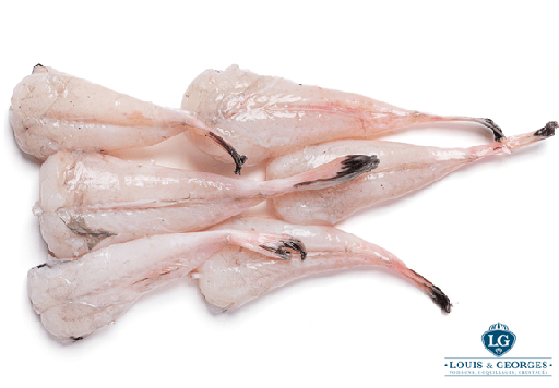 [QLOT T3] QUEUE DE LOTTE 1/2 EXTRA