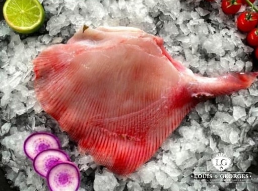 [RAIE 3] AILE DE RAIE 1/2