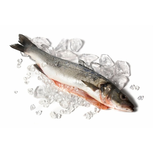 [BARL 5] BAR LIGNE 5/1000