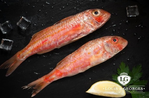 [BBET P/FILETB] ROUGET BARBET 3/500